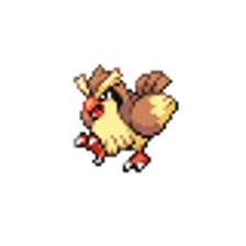 Pidgey