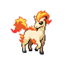 Ponyta