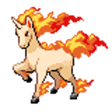 Rapidash