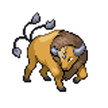 Tauros