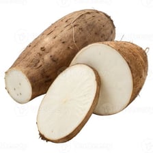 A fresh yam tuber shown whole and cut open.