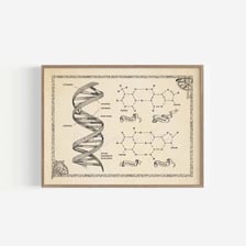 A scientific illustration of a DNA double helix