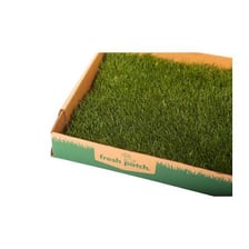 A rectangular patch of green sod on soil.