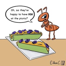 Ants gathered around food at an outdoor picnic.