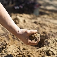 A compact clod of brown soil.