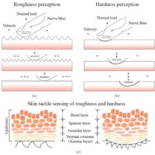 A textured surface representing tactile and an object flying as a projectile.