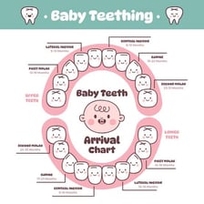 An educational illustration shows a child with newly developing molars.