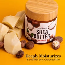 Jar of shea butter beside shea nuts used to make the moisturizer