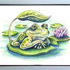 A frog resting on a lily pad in a pond.