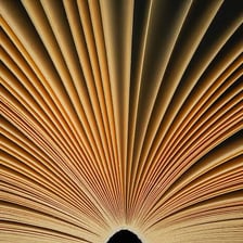 An open book showing its pages