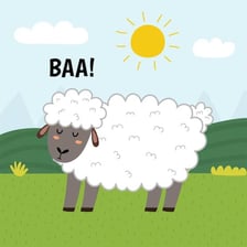 A sheep standing in a pasture