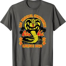 Promotional imagery for the television series Cobra Kai.