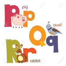 The letters P and Q displayed consecutively in the alphabet.