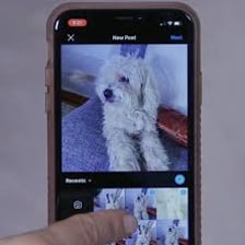 A person using a smartphone to publish a photo on social media