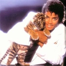 Thriller album cover featuring Michael Jackson in white beside a white tiger