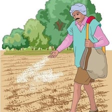 A farmer scattering seeds across a cultivated field.