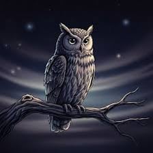 An owl perched on a branch in a nighttime setting