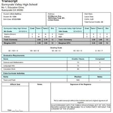 A college student reviewing an academic transcript