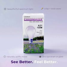 An incandescent light bulb labeled with a 100-watt rating