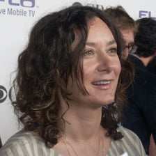 Sara Gilbert appearing as an actress in a promotional image