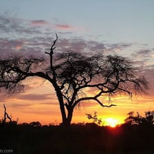 A sky brightening as daylight begins at dawn.