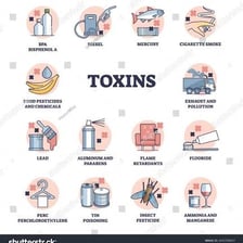 An educational illustration representing a biological toxin