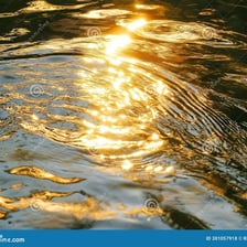 Sunlight creating a soft, wavering sparkle across a body of water.