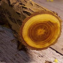 A close-up view of wood from an orange tree.