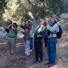 A person looking through binoculars at a bird outdoors.