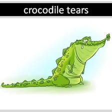 A crocodile shown in close-up, illustrating the expression “crocodile tears”