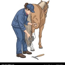 A farrier fitting a horseshoe to a horse’s hoof.