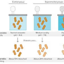 Researchers testing a product in a controlled laboratory experiment
