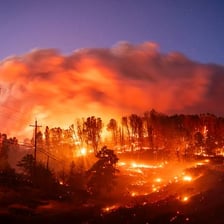 Large fires burning intensely in a forested landscape
