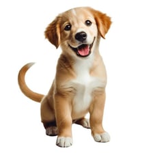 A happy puppy with its tail moving from side to side