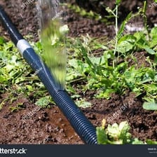 Water dripping from a leaking garden hose