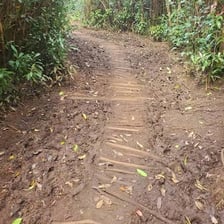 Soft, waterlogged muddy ground in a swampy landscape