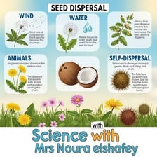 Seeds being spread across an area to illustrate dispersal and distribution.