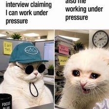 A person responding to demanding questions in an interview.