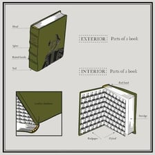 The decorative lining attached to the inside of a book cover.