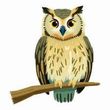 An owl shown in a thoughtful pose as a visual symbol of wisdom