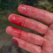 Wet fish slipping from a person's hands