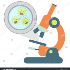 A magnified educational illustration of bacteria and other microorganisms.