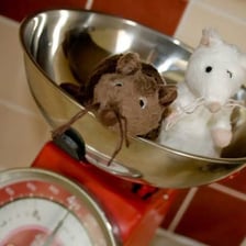 A mouse inside a kitchen near food storage
