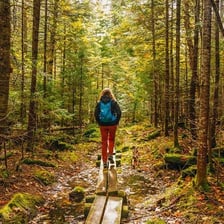 An alert hiker carefully watching the surrounding wilderness