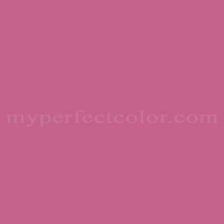 A bright fuchsia swatch showing the purplish-red color.