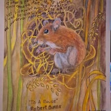 An illustration of a small mouse in a field, evoking Robert Burns’s poem “To a Mouse”