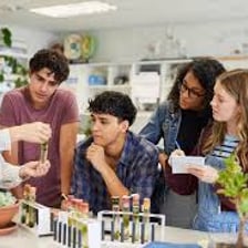 Teacher showing students how a science experiment works