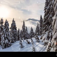 A landscape covered in fresh, bright white snow.
