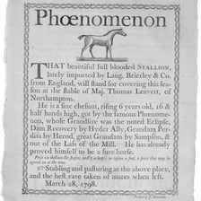 A newspaper editorial presenting a forceful public criticism.