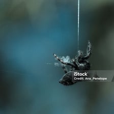 An object suspended precariously from a single thread